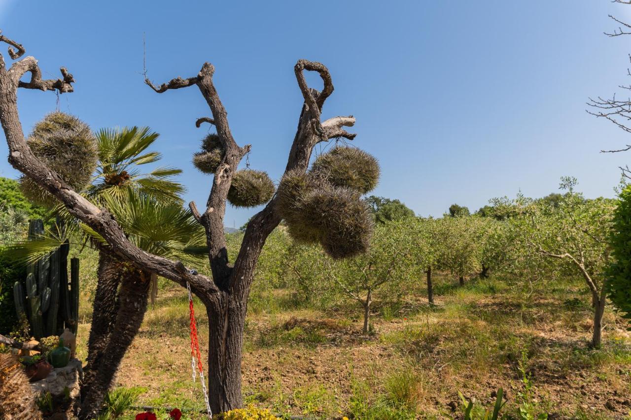 Finca Sa Sini Thị trấn Búger Ngoại thất bức ảnh